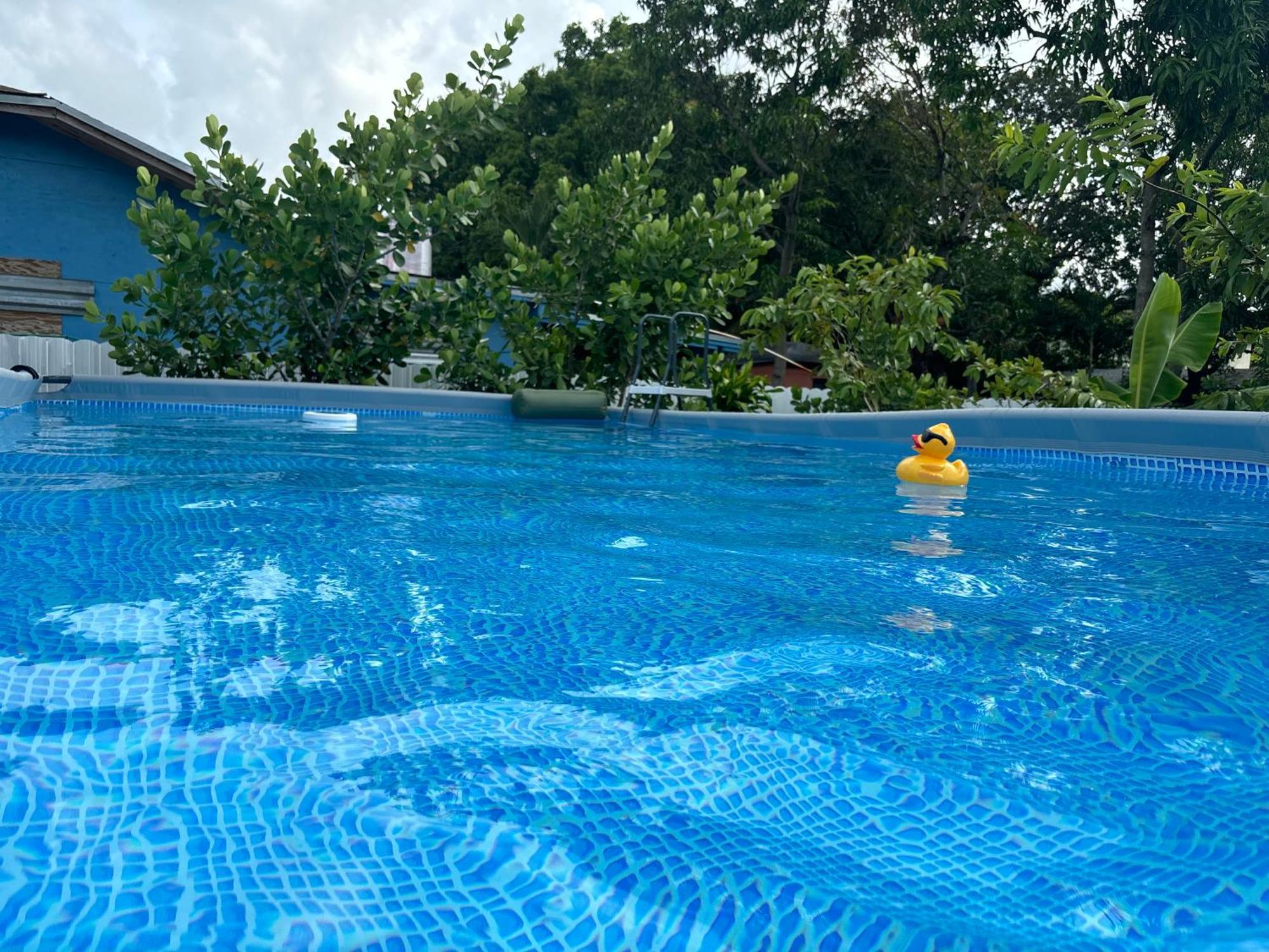 Mini House Oasis Otel Miami Springs Dış mekan fotoğraf